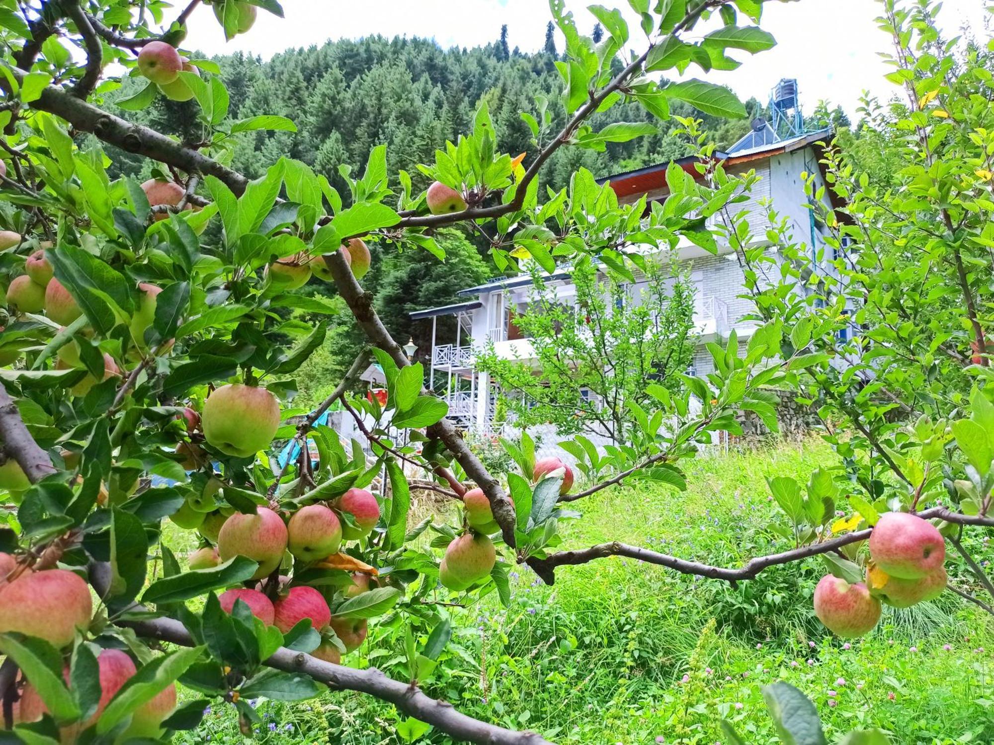 Baan By Snow City Farm Vashist Ngoại thất bức ảnh